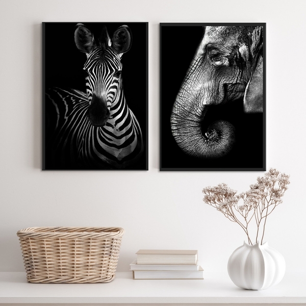 Kit 2 Quadros Fotografias Zebra E Elefante 33x24cm - Com Vidr