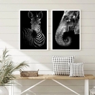 Kit 2 Quadros Fotografias Zebra E Elefante 33x24cm Moldura:ma