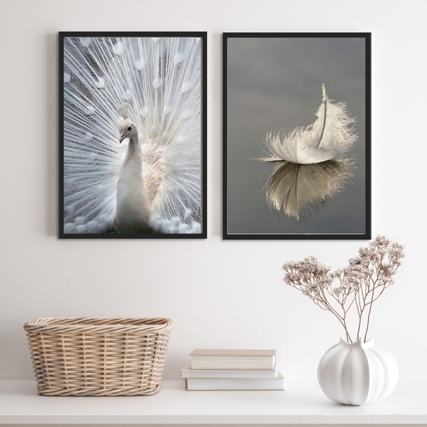 Kit 2 Quadros Fotos Azul E Branco- Pavão E Pena 33x24cm Moldu