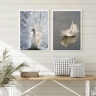 Kit 2 Quadros Fotos Azul E Branco- Pavão E Pena 45x34cm Moldu