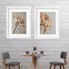 Kit 2 Quadros Grandes Crisântemos Bege - 60x48cm Moldura:made