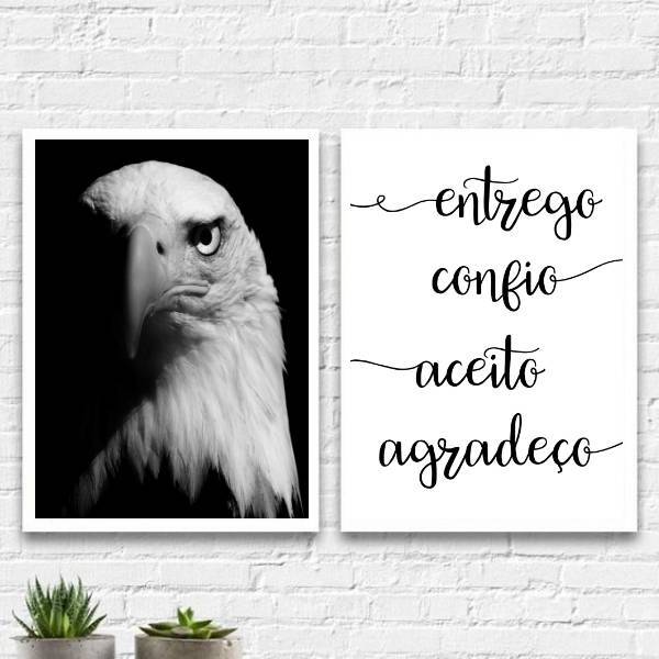 Kit 2 Quadros Hooponopono Águia 24x18cm Moldura:madeira Branca