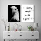 Kit 2 Quadros Hooponopono Águia 45x34cm Moldura:madeira Branca