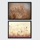 Kit 2 Quadros Horizontais Flores Do Campo 24x18cm - Com Vidro