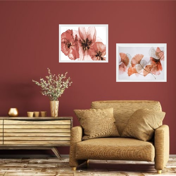 Kit 2 Quadros Horizontais Flores Terracota 45x34cm - Com Vidr
