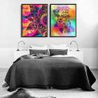 Kit 2 Quadros Mandala Nothing Is Impossible 45x34cm Moldura:m