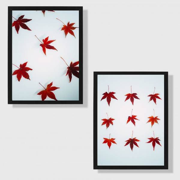Kit 2 Quadros Maple 24x18cm - Com Vidro Moldura:madeira Preta