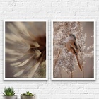 Kit 2 Quadros Neutros Passarinho E Flores 33x24cm - Com Vidro