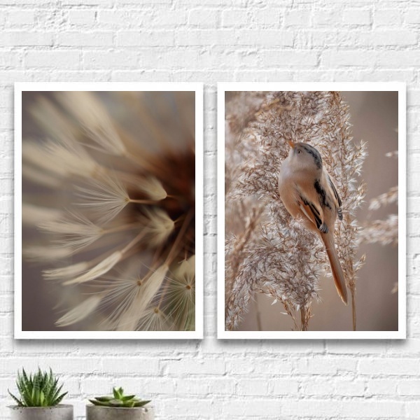 Kit 2 Quadros Neutros Passarinho E Flores 45x34cm Moldura:mad