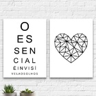 Kit 2 Quadros O Essencial É Invisível Olhos 45x34cm - Com Vid