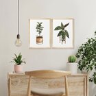 Kit 2 Quadros Para Decoração Plantas Vasos Folhagens Cozinha