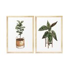 Kit 2 Quadros Para Decoração Plantas Vasos Folhagens Cozinha