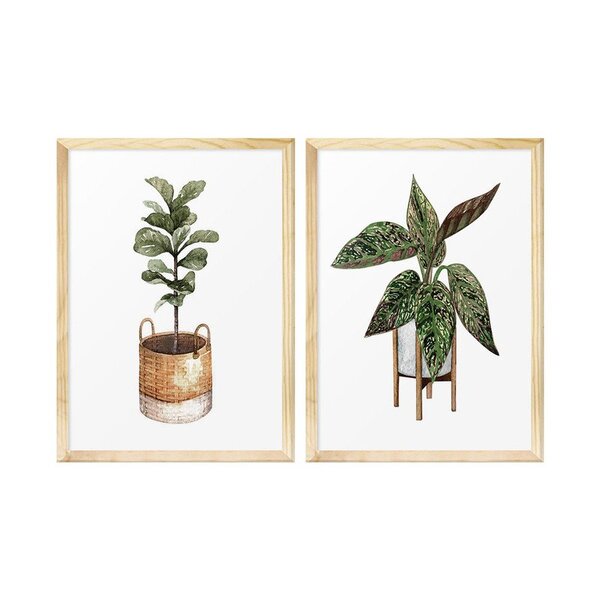 Kit 2 Quadros Para Decoração Plantas Vasos Folhagens Cozinha