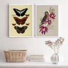 Kit 2 Quadros Para Varanda Pássaro E Borboletas 33x24cm Moldu