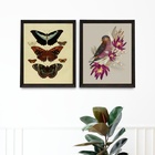 Kit 2 Quadros Para Varanda Pássaro E Borboletas 45x34cm - Com