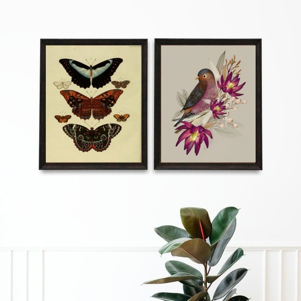 Kit 2 Quadros Para Varanda Pássaro E Borboletas 45x34cm - Com