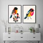 Kit 2 Quadros Passarinhos Coloridos 33x24cm - Com Vidro Moldu