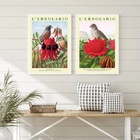 Kit 2 Quadros Passarinhos Com Flores 33x24cm Moldura Preta