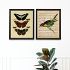 Kit 2 Quadros Pássaro E Borboletas Vintage 33x24cm Moldura:ma
