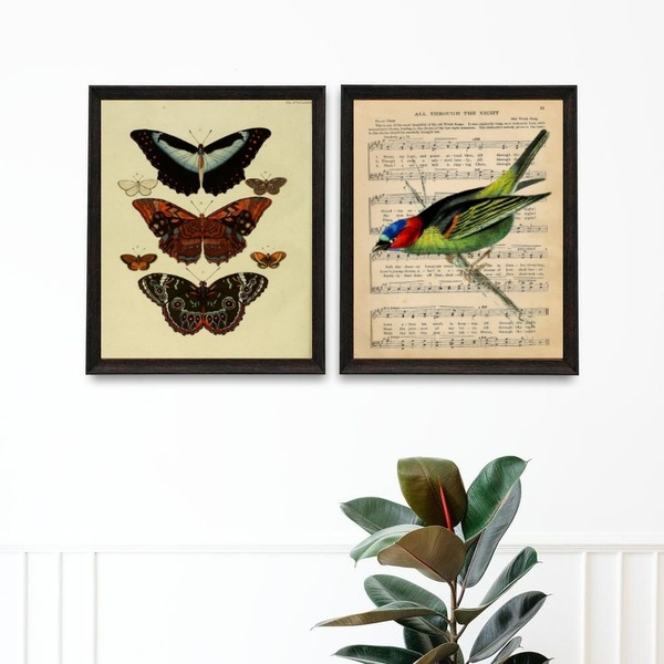 Kit 2 Quadros Pássaro E Borboletas Vintage 45x34cm - Com Vidr