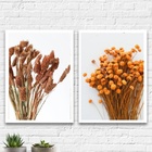 Kit 2 Quadros Ramos De Folhas Secas 45x34cm - Com Vidro Moldu