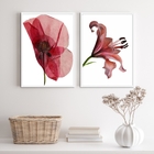 Kit 2 Quadros Sala Flores Modernas Sóbrias Neutras 45x34cm Mo