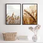Kit 2 Quadros Trigo E Capim Dos Pampas 45x34cm - Com Vidro Mo