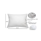 Kit 2 Refis Enchimento Para Almofada Em Fibra Siliconada 50x3