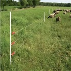 Kit 2 Rolos Fio De Cerca Elétrica Eletroplástico 500m Total 1