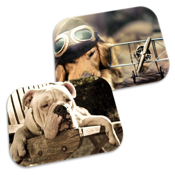 Kit 2 Tapetes Decorativos Dog Aviador Único