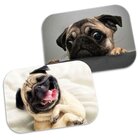 Kit 2 Tapetes Decorativos Dog Fany Único