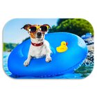 Kit 2 Tapetes Decorativos Dog Summer Two Único