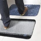 Kit 2 Tapetes Higienizador Sanitizante 2/1 40x60cm Panosul