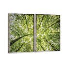 Kit 2 Telas Canvas Com Moldura Arvore Folhas Verde