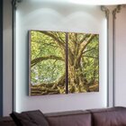Kit 2 Telas Canvas Com Moldura Arvore Natureza