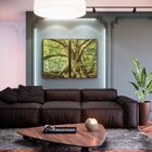 Kit 2 Telas Canvas Com Moldura Arvore Natureza