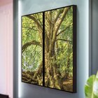 Kit 2 Telas Canvas Com Moldura Arvore Natureza