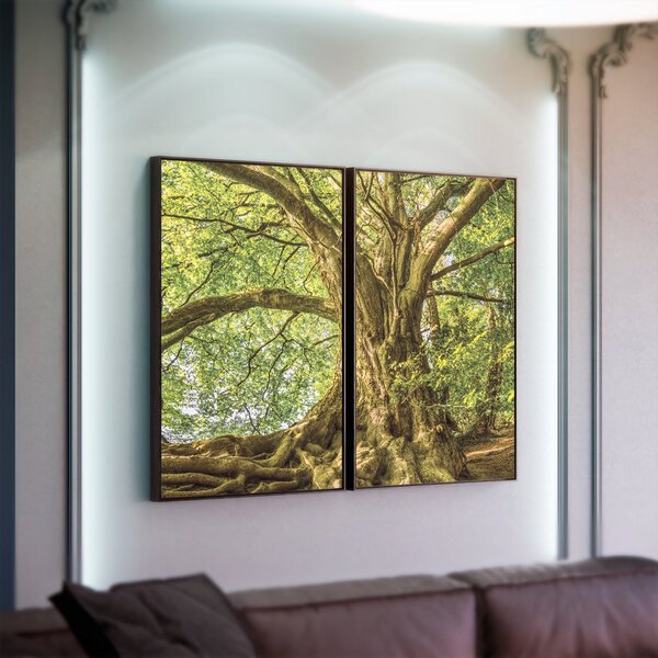 Kit 2 Telas Canvas Com Moldura Arvore Natureza