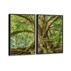 Kit 2 Telas Canvas Com Moldura Arvore Natureza