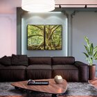 Kit 2 Telas Canvas Com Moldura Arvore Natureza