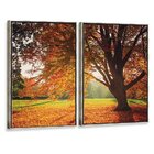 Kit 2 Telas Canvas Com Moldura Arvore Plátano