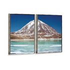 Kit 2 Telas Canvas Com Moldura Fauna Andina