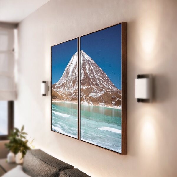 Kit 2 Telas Canvas Com Moldura Fauna Andina