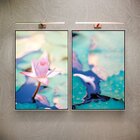 Kit 2 Telas Canvas Com Moldura Flor Com Pétalas Caídas