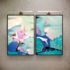 Kit 2 Telas Canvas Com Moldura Flor Com Pétalas Caídas