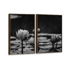 Kit 2 Telas Canvas Com Moldura Flor No Lago Preto E Branco