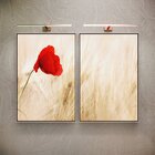 Kit 2 Telas Canvas Com Moldura Flor Vermelha