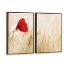 Kit 2 Telas Canvas Com Moldura Flor Vermelha