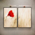 Kit 2 Telas Canvas Com Moldura Flor Vermelha