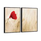 Kit 2 Telas Canvas Com Moldura Flor Vermelha